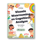 Visuele Waarneming en Cognitieve Analyse (NL)